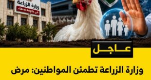 وزارة الزراعة: مرض النيوكاسل لا يمثل تهديداً للصحة العامة